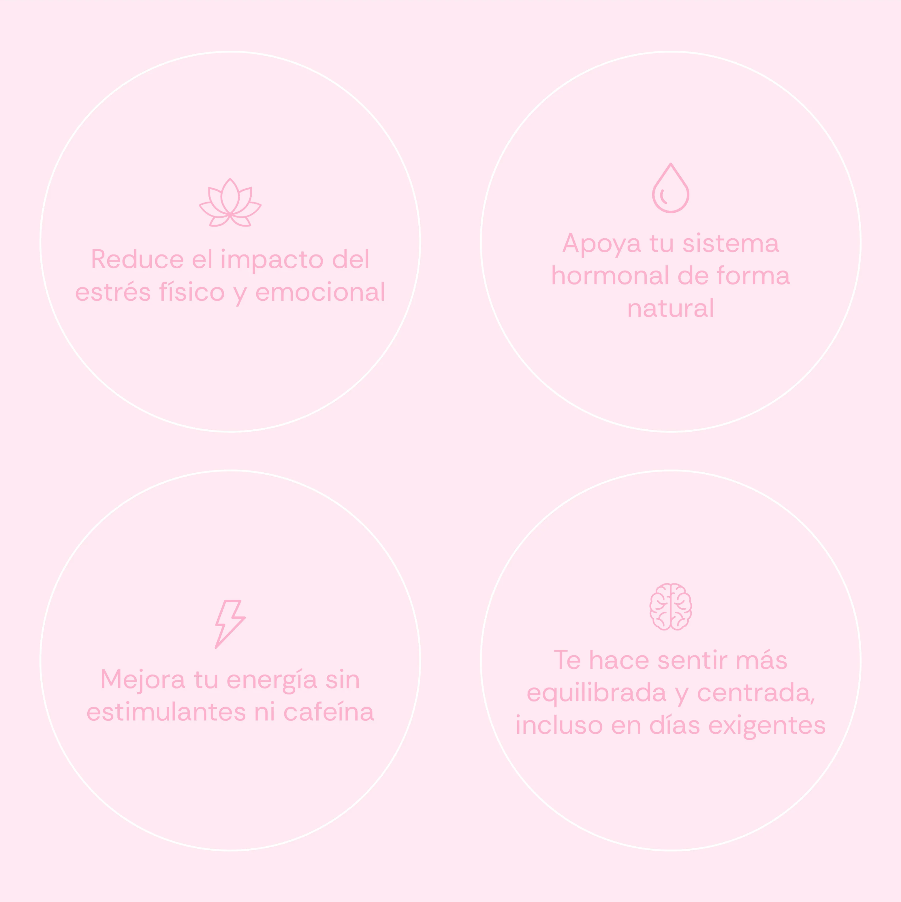 Ashwagandha For Her KSM-66 + Magnesio, L-Teanina & Rhodiola - 60 Caps - Image 5