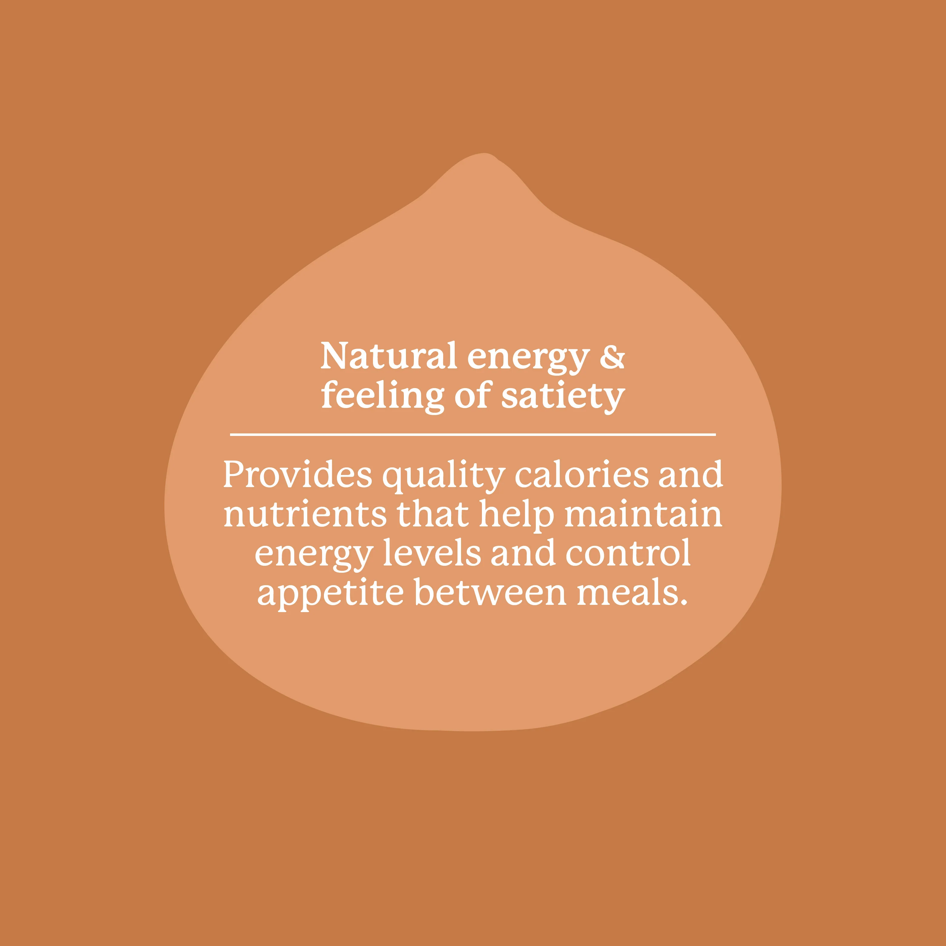 Crema de avellanas - 250 g - Original - Image 6