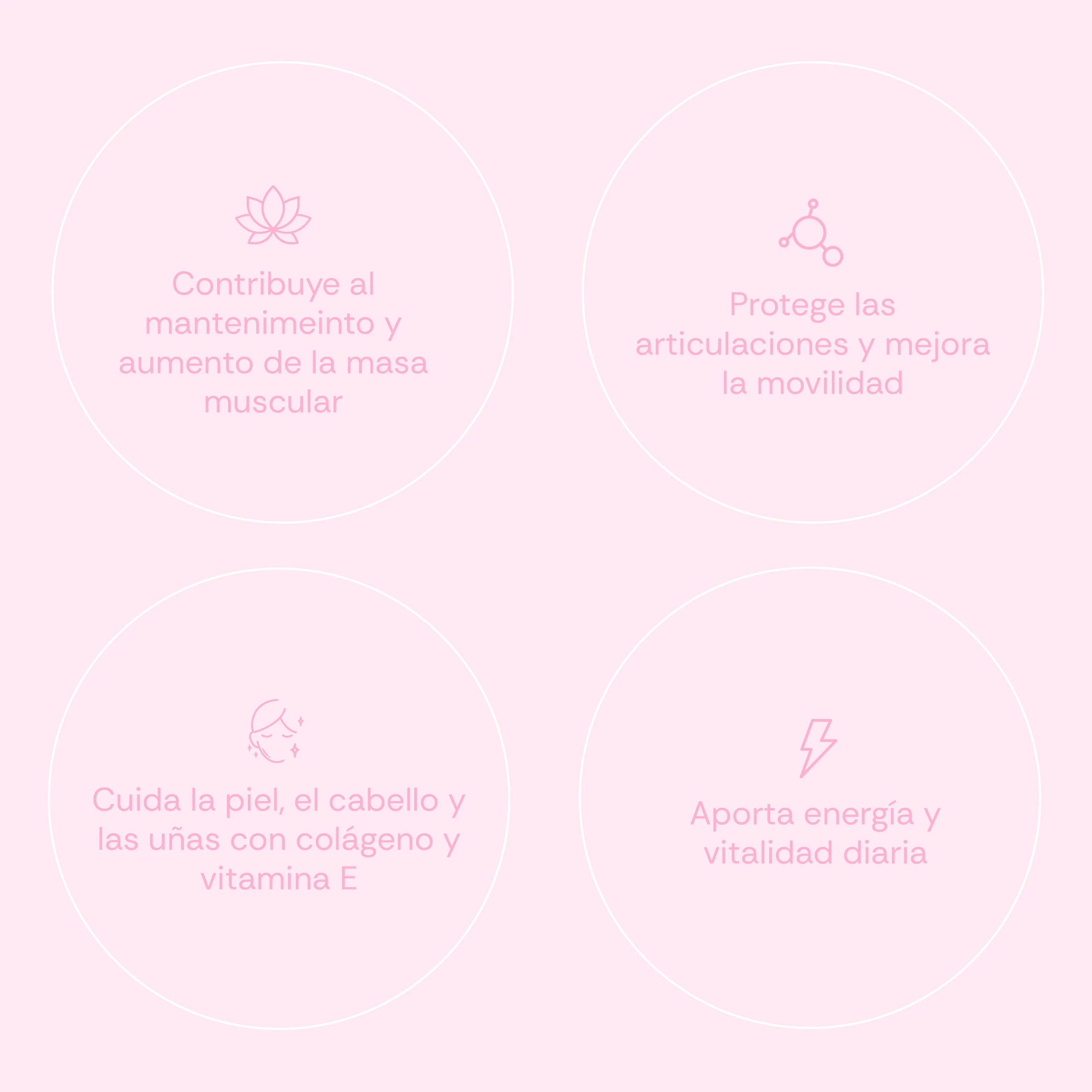 Monodosis Women Protein Shake - 30 g - Chocolate - Image 4